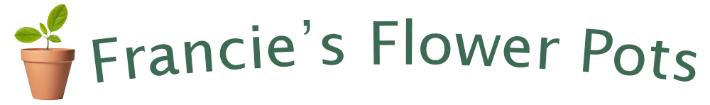 Francie’s Fabulous Flowerpots Website